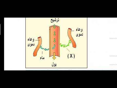 5 حل بعض أسئلة الهرمونات من كتاب اكتشف الفائز 2026 الأستاذ محمد الرفاعى ذكى