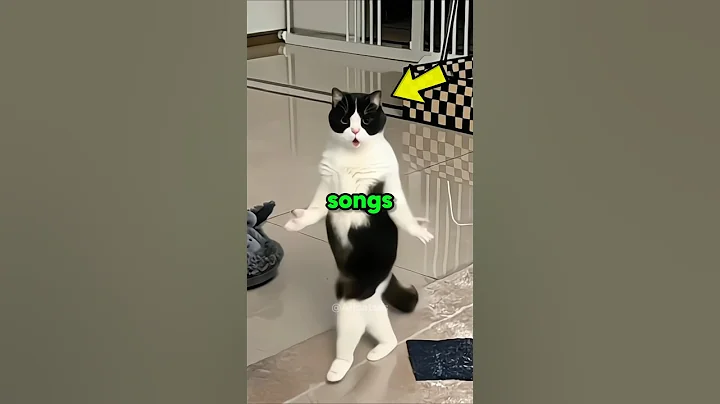 Video 11785711: cat funny pets, cat playing