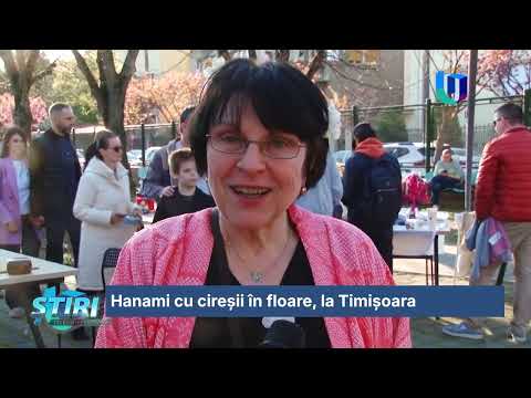Hanami cu cireșii în floare, la Timișoara