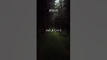 تلاوة عذبة ومؤثرة من القرآن الكريم