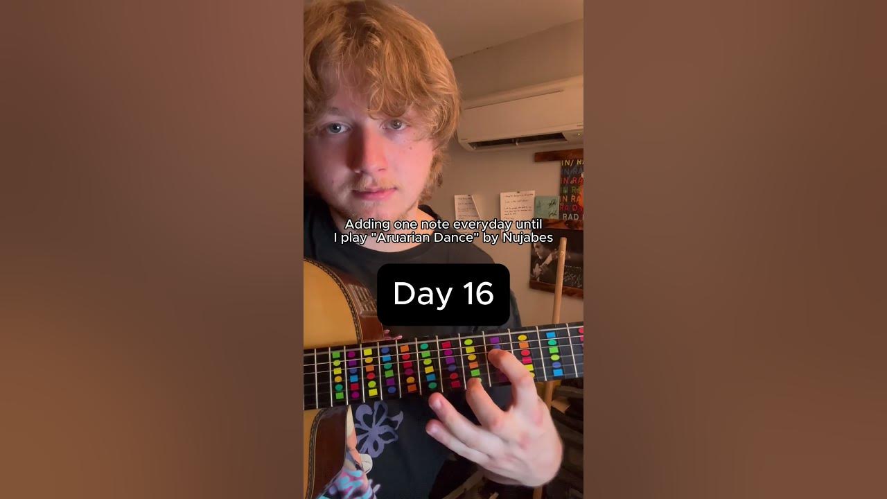 Day 16 Guitar Challenge “Aruarian Dance” by Nujabes #motivation #music #practice #ihavenoenemies