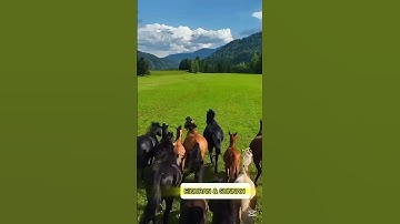 ماتيسر من سورة لقمان للشيخ محمد صديق المنشاوي #القرآن #السنة_النبوية #المصحف