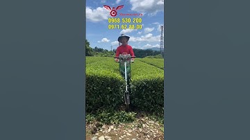 Cực phẩm máy cắt tỉa hàng rào thiết kế 2 hàng có bánh xe di chuyển siêu tiện lợi #shorts #vinmax