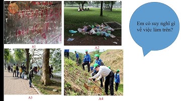 Môn GDCD 8  tiết 25  Bài 17  Nghĩa vụ tôn trọng, bảo vệ tài sản nhà nước và lợi ích công cộng