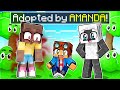 Adopted by AMANDA the Adventurer in Minecraft!