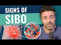 What is sibo signs  natural treatment options