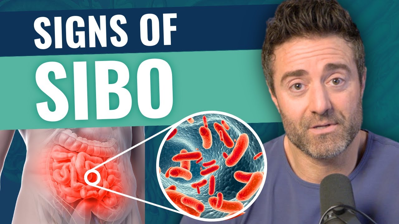 What is SIBO? Signs & Natural Treatment Options