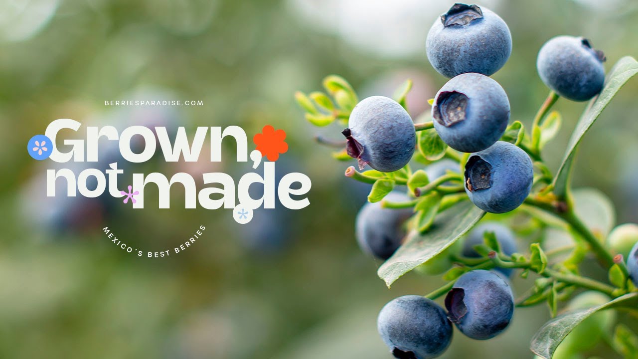 Grown, Not Made  | Berries Paradise