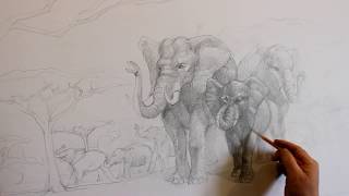 Рисунок слонов 5. Светотень. Эскиз к панно. Ускорено 4х
