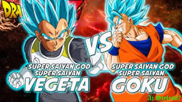 Dragon Ball Z Tenkaichi Tag Team Vegeta SSGSS VS Goku SSGSS
