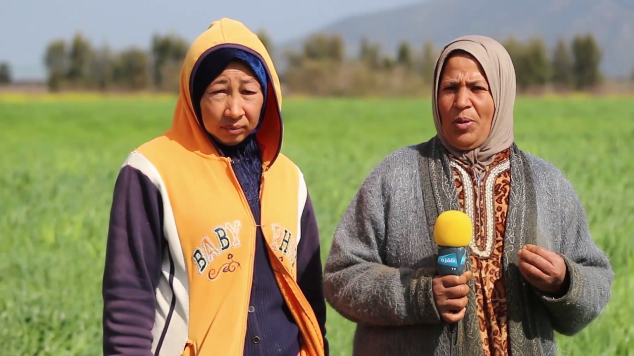 تقرير خاص - رصد لمشاكل فلاحي معتمدية غزالة ولاية بنزرت