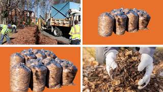 Richmond Leaf Collection Program