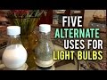 5 Incredible Uses for Old Light Bulbs