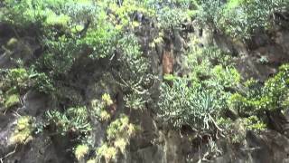 James Bond Island Thailand | Germanizing Retro Vlogs | 60