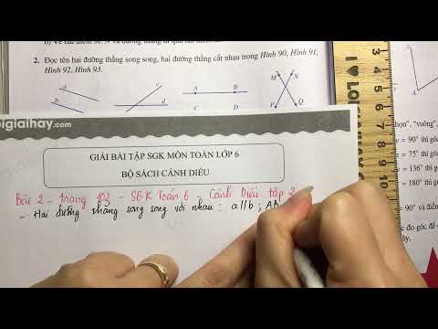 Video Giải bài tập 2 trang 102 SGK toán 6 Cánh Diều tập 2. - youtube