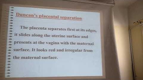 004 th week Normal labor 2