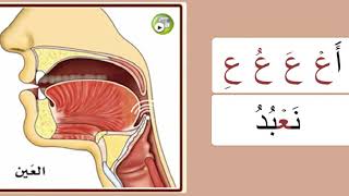 Буква ع. Махрадж. Айман Сувейд. Таджвид. Правильное произношение арабских букв.