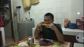 PELIK TAPI  BENAR || rasa lain macam malam ni..rasa mengidam sesuatu..