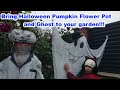 AMAZING - Bring Halloween Pumpkin Flower Pot and Ghost to your garden ❤️❤️❤️