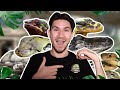 Une journe avec moi au reptilarium du larzac  quelle exprience