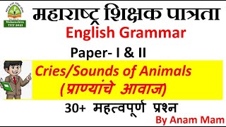 MAHA TET 2021 English | TET English Grammar | Top 30 MCQ on Sounds/Cries of Animals | Quick Revision