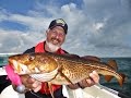 Angeln auf Langeland: Mit der Familie zum Fisch. Dorschangeln auf Langeland