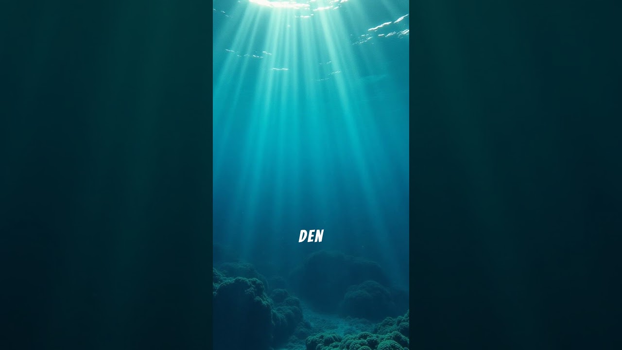 🌿🌊 Amazonas-Mythos entlarvt! Die wahre Lunge der Erde!