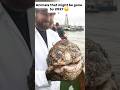 Animals that might be gone by 2027 😔! #animals #animallife #pets #ytshorts