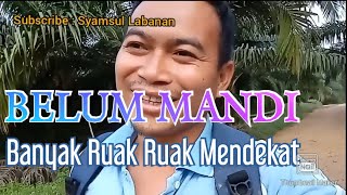 NGAK MANDI Malah Dapat Banyak Burung Ruak-Ruak / Baburak / Kruwok / Truwok / Ruwak ruwak/ Wak Wak.
