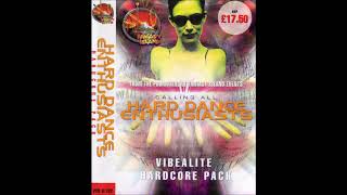 DJ SY - HARD DANCE ENTHUSIASTS - VIBEALITE HARDCORE PACK 2002