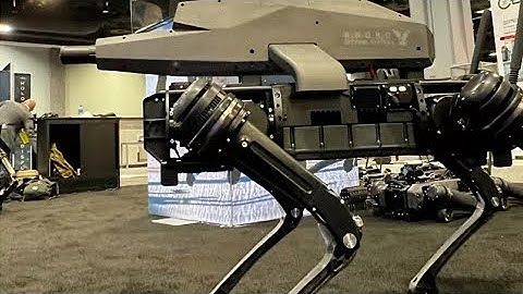 Cão-robô sniper: os cães de guarda do futuro chegaram