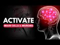 Neuron activation frequency activate brain cell music