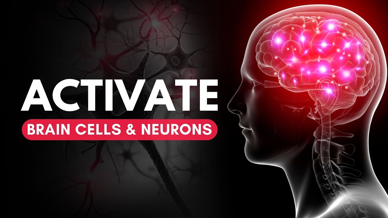 Activate Brain Neurons To Full Potential  Improve Your Memory Power - Repair Brain Cell