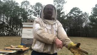 Famous My queen is laying in my super!!!How I fixed the problem. And other late winter bee maintenance! Net Worth