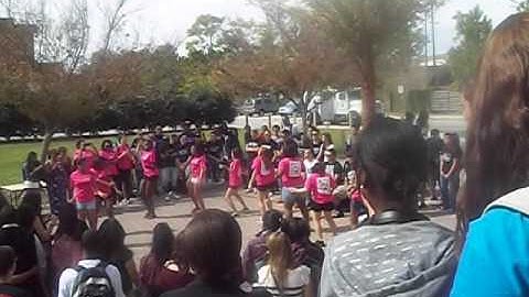 Sigma Lambda Gamma UCF YardShow