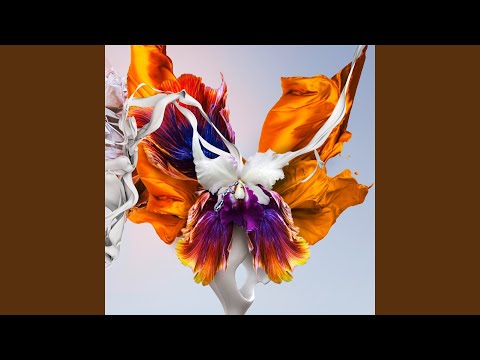 Lost In A Colourful Dream