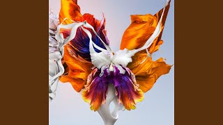 Смотреть клип Lost In A Colourful Dream