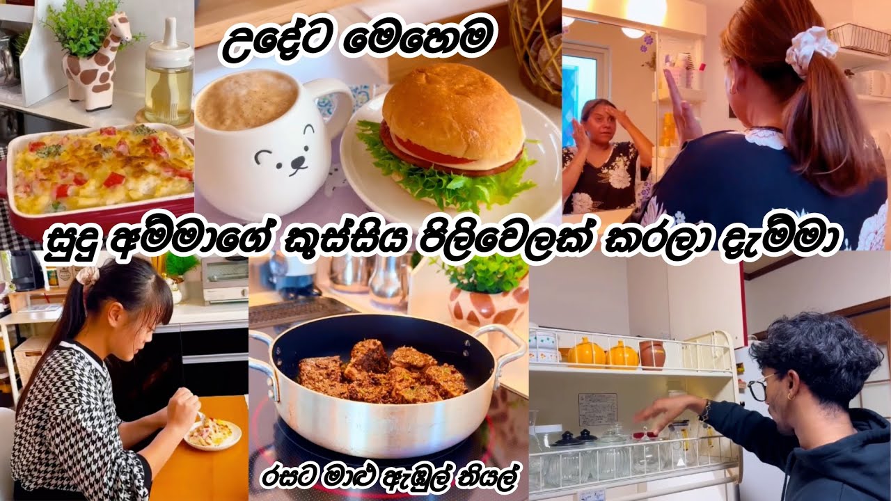 සුදු අම්මාගේ කුස්සිය පිලිවෙලක් කරා😍| Life in japan 🇯🇵🇱🇰