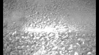 Celebrity Fluidizing sand in an air-fluidized bed Profile