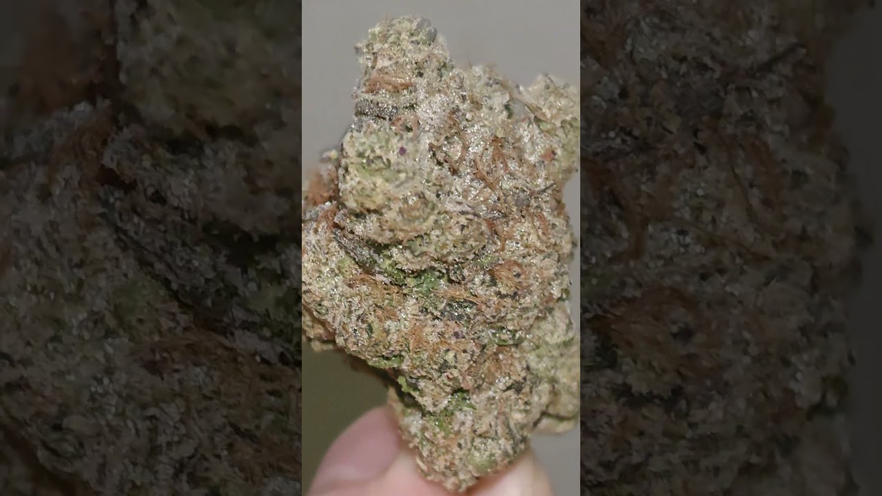 Самородок Галактической Жабы