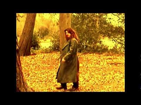 Fragmentation Video