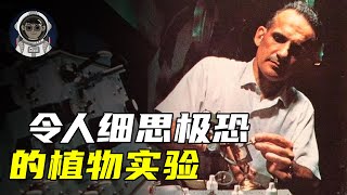 令人细思极恐的植物实验，你敢相信，植物也是有思维的吗？