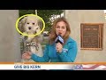 The Very Best News Bloopers May 2020