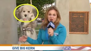 The Very Best News Bloopers March 2024