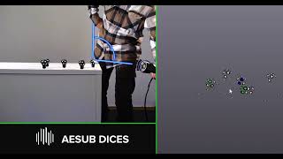 Aesub Dice How It Works