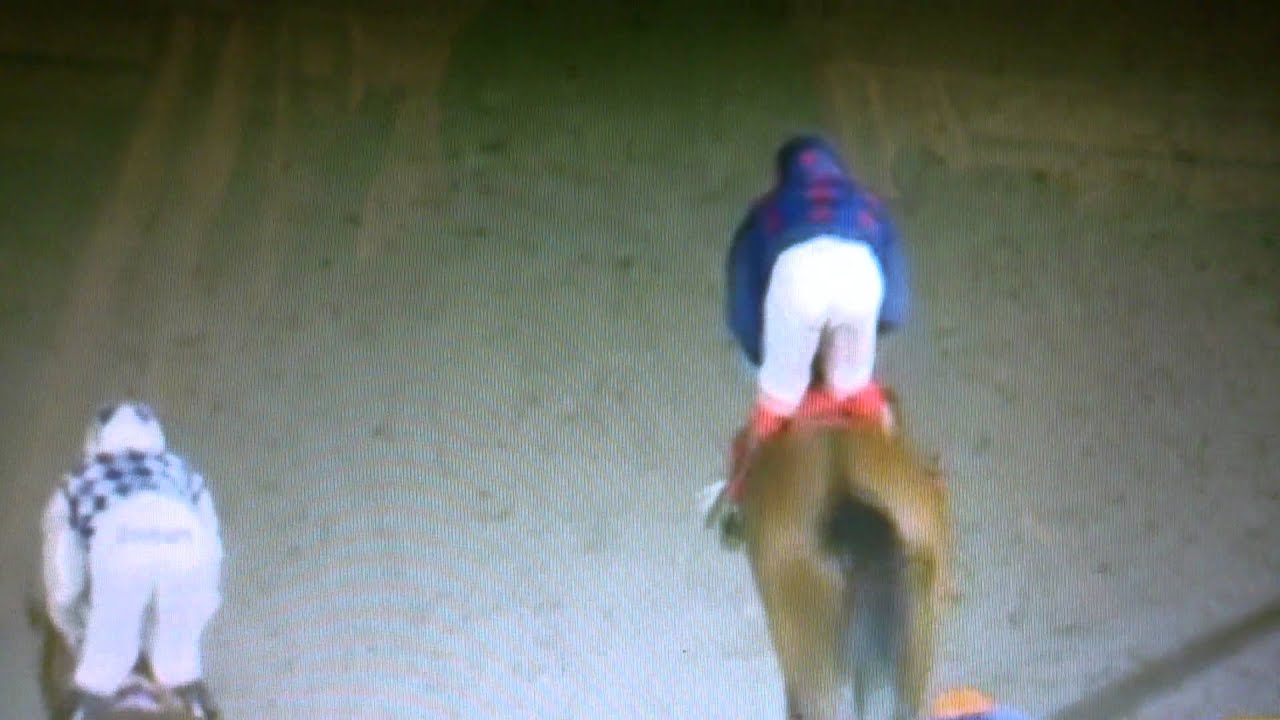 Jockey Sean Levey punches horse in face. YouTube