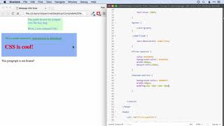 26 Padding CSS3 Net Worth