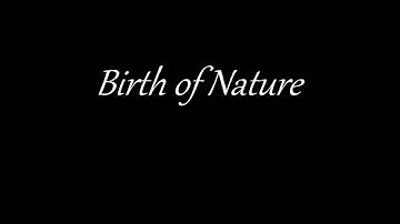 Birth of Nature Prototype