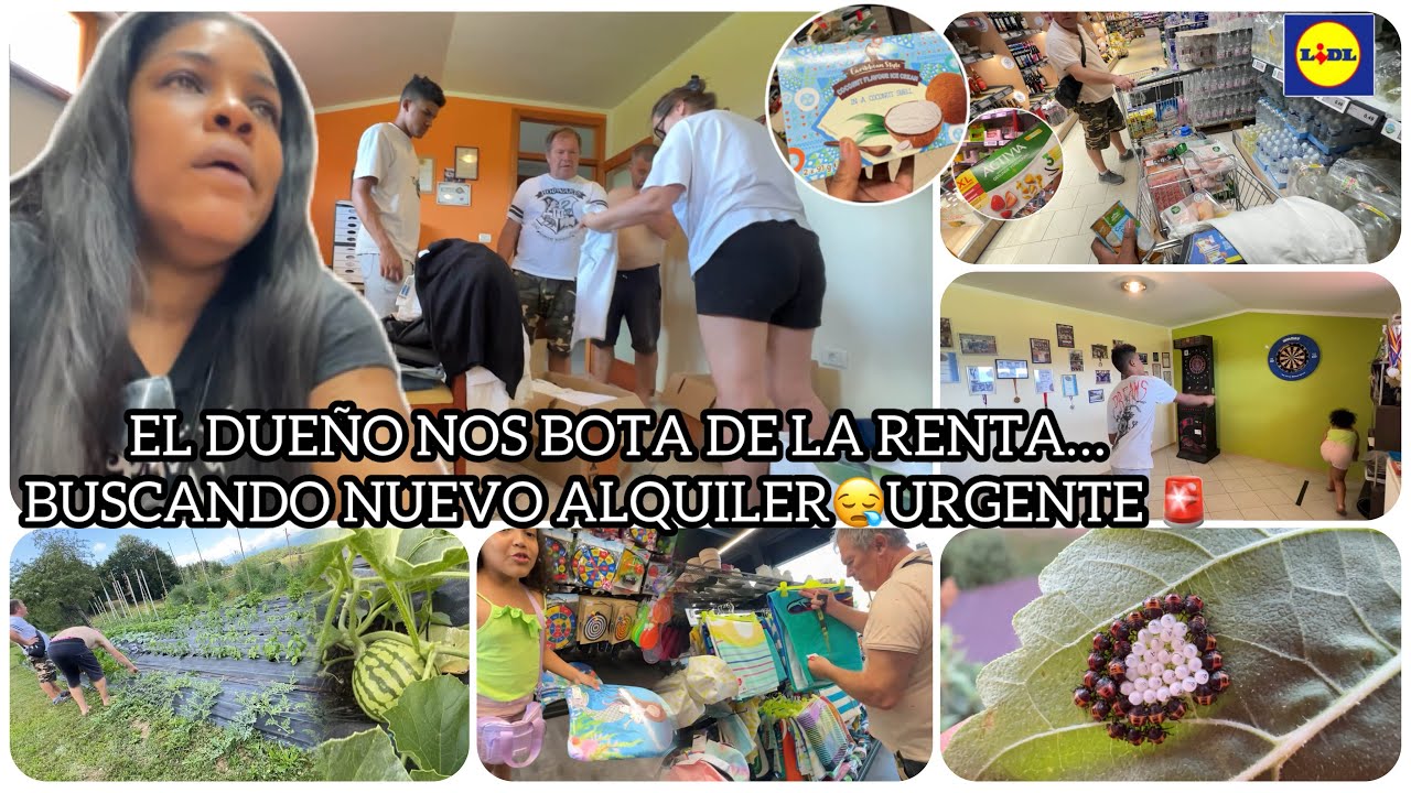 EN CASA DEL CUÑADO🙂 // MEGA COMPRAS EN LIDL(COSTO🧾) // TODO ORGANICO 🫑🥘// Plaga 🐞🐛en los Girasoles 🌻