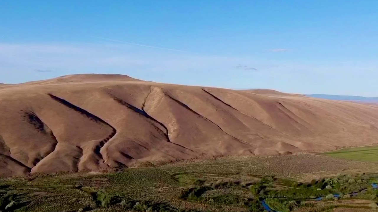 Toppenish Ridge Wild Horses Toppenish Ridge WA State - YouTube